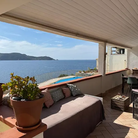 Appartement Les Pieds Dans L Eau Calvi (Corsica)