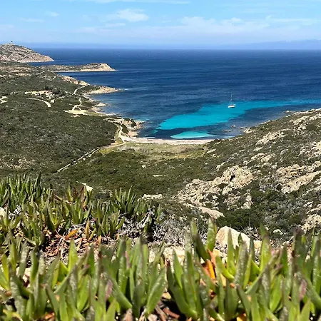 Thomaia * Calvi (Corsica)