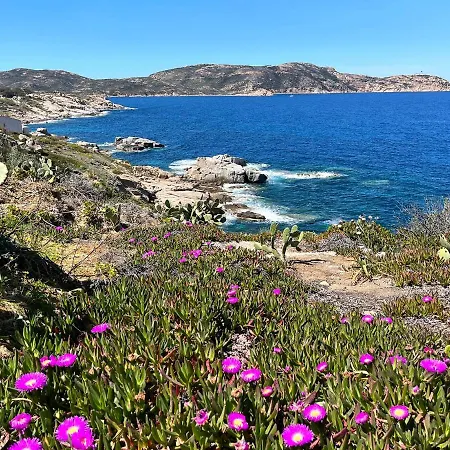 Thomaia Lägenhet Calvi (Corsica)