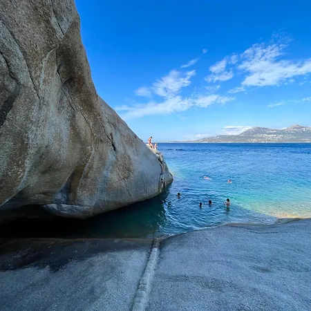 Thomaia Lejlighed Calvi (Corsica)