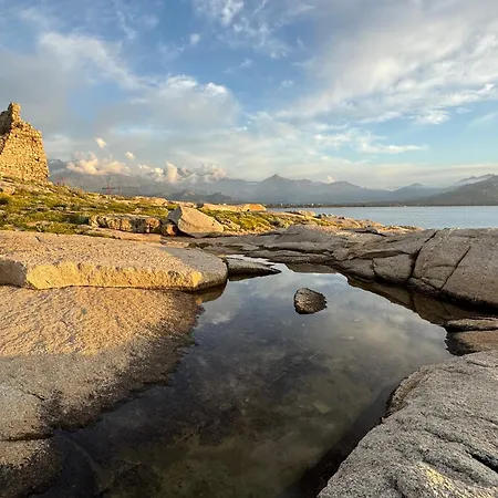 Lägenhet Thomaia Calvi (Corsica)