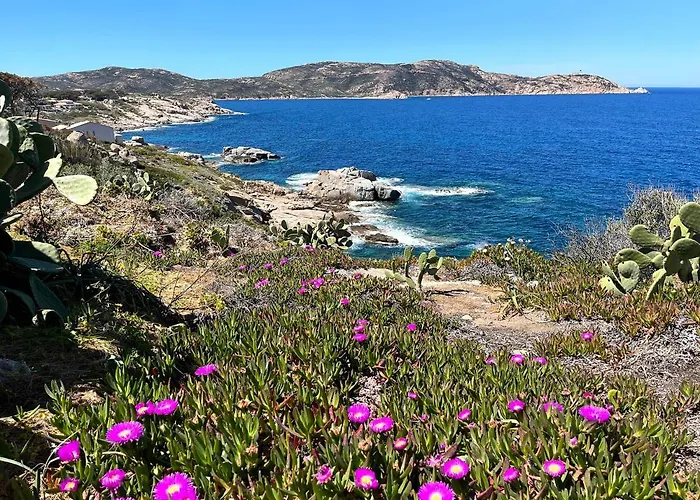 Thomaia Lägenhet Calvi (Corsica)