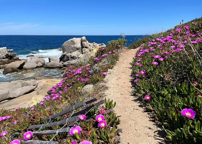 Thomaia * Calvi (Corsica)