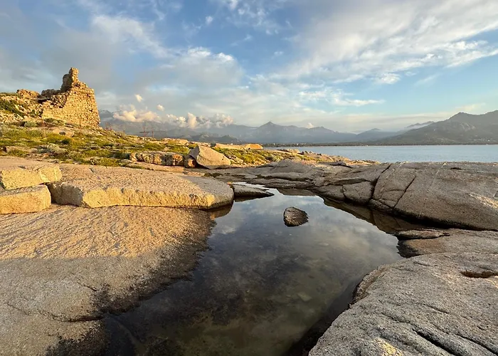 Lägenhet Thomaia Calvi (Corsica)